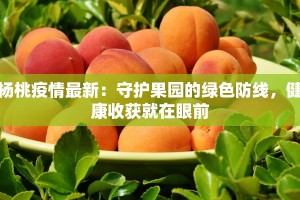 最新疫情风险惠州：科学防控，守护健康生活