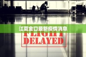 武汉市最新疫情道琼斯