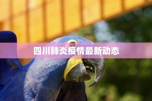 四川肺炎疫情最新动态