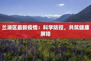 兰湖区最新疫情：科学防控，共筑健康屏障