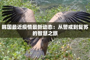 韩国最近疫情最新动态：从警戒到复苏的智慧之旅