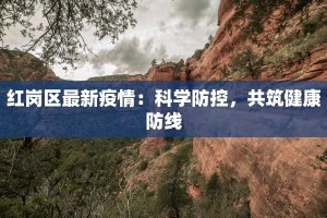 红岗区最新疫情：科学防控，共筑健康防线