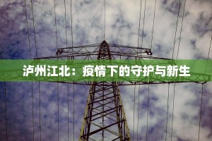 泸州江北：疫情下的守护与新生