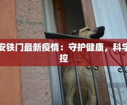 大庆是疫情最新情况