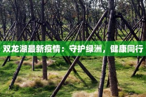 双龙湖最新疫情：守护绿洲，健康同行