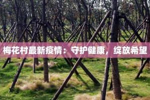梅花村最新疫情：守护健康，绽放希望