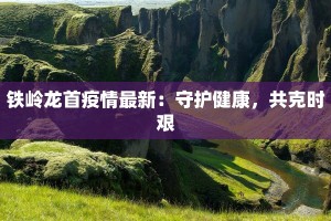 铁岭龙首疫情最新：守护健康，共克时艰
