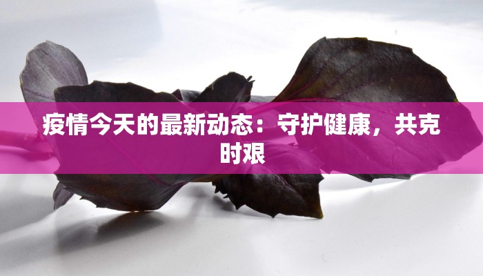 疫情山西最新情况：守护家园，共克时艰