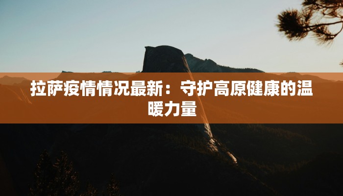 拉萨疫情情况最新：守护高原健康的温暖力量