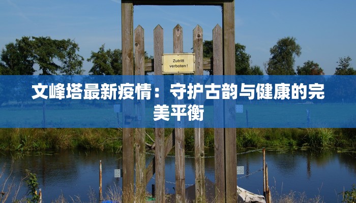 济宁疫情最新进展：梁山地区守护健康新篇章