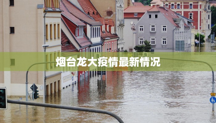 郑州最新疫情解封：重启活力，拥抱美好新生活