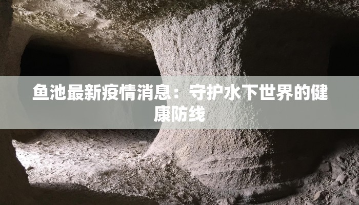 新乡卫辉疫情最新通知 新乡卫辉疫情最新通知