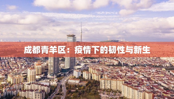 成都青羊区：疫情下的韧性与新生
