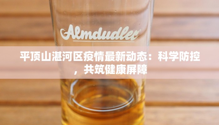 平顶山湛河区疫情最新动态：科学防控，共筑健康屏障
