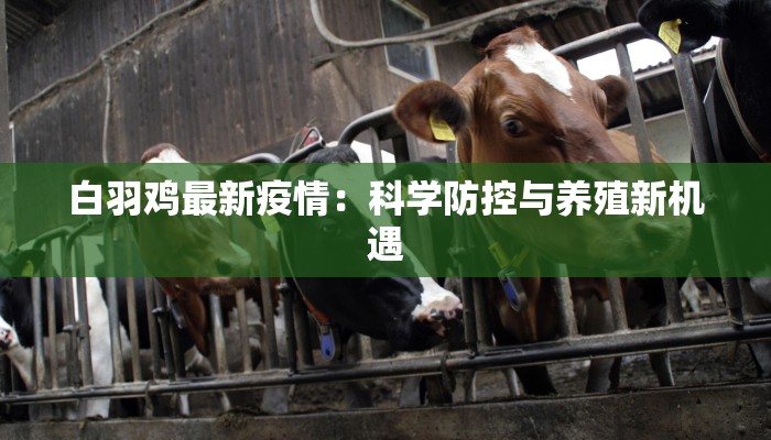 威海疫情现况最新消息 威海疫情现况最新消息