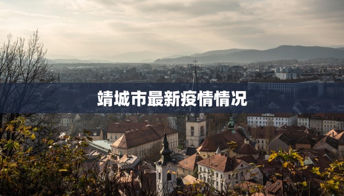 靖城市最新疫情情况 靖城市最新疫情情况