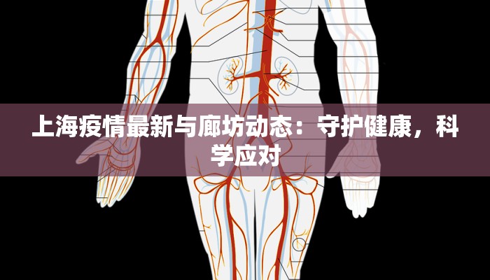 上海疫情最新与廊坊动态：守护健康，科学应对