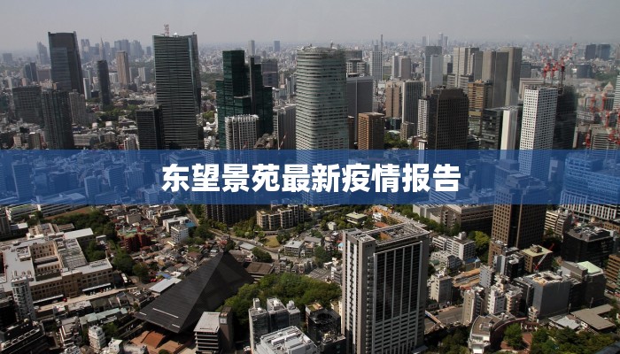 东望景苑最新疫情报告