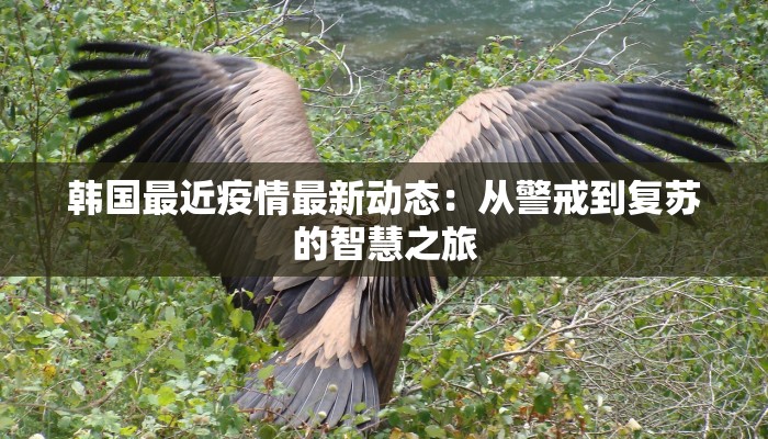 韩国最近疫情最新动态:从警戒到复苏的智慧之旅 韩国最近疫情最新动态:从警戒到复苏的智慧之旅
