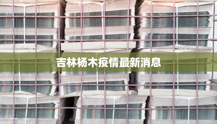 最新望都高速疫情管控：守护出行，筑牢安全防线