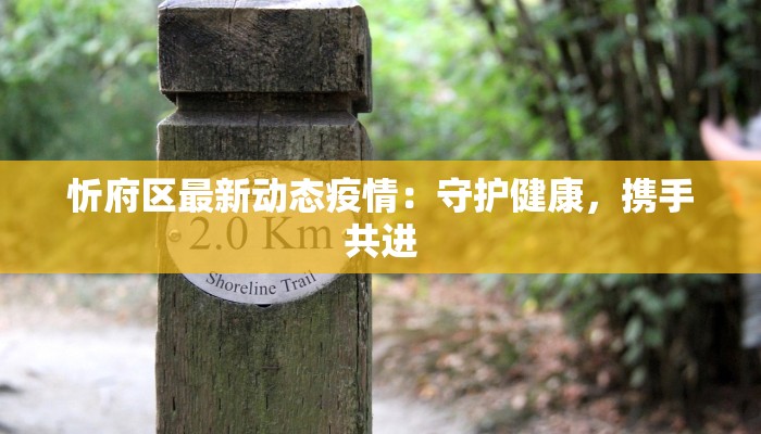 忻府区最新动态疫情：守护健康，携手共进