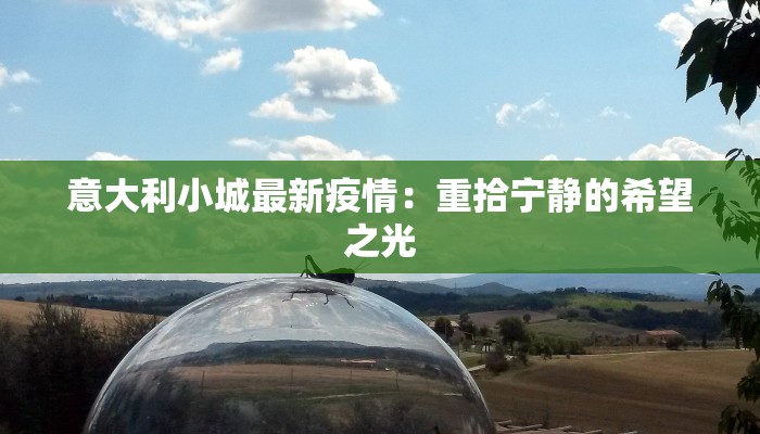 最新上海疫情源头揭秘：真相与启示