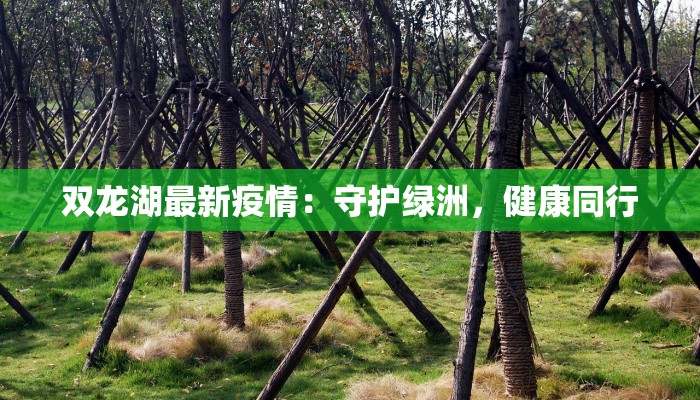 双龙湖最新疫情:守护绿洲,健康同行 双龙湖最新疫情:守护绿洲,健康同行