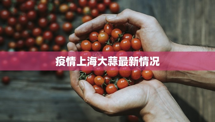 疫情最新通报内地疫情