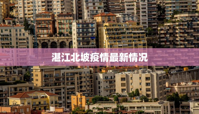 湛江北坡疫情最新情况