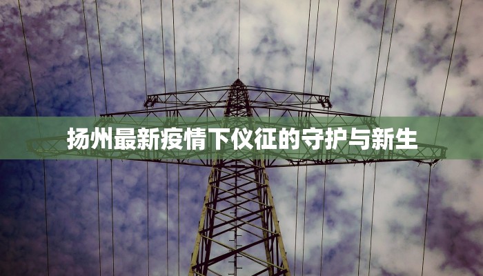扬州最新疫情下仪征的守护与新生