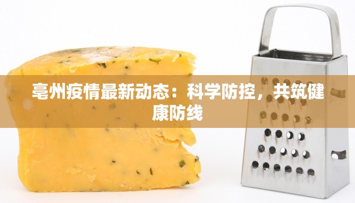 武汉疫情封路最新：守护健康，智慧前行